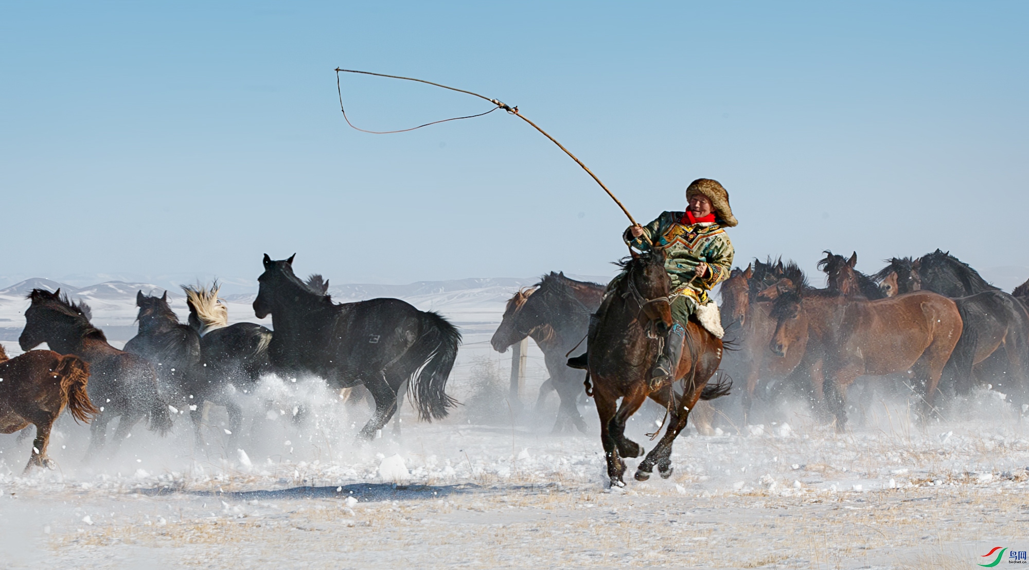 A68O8672-����ǿ-NR ����.jpg