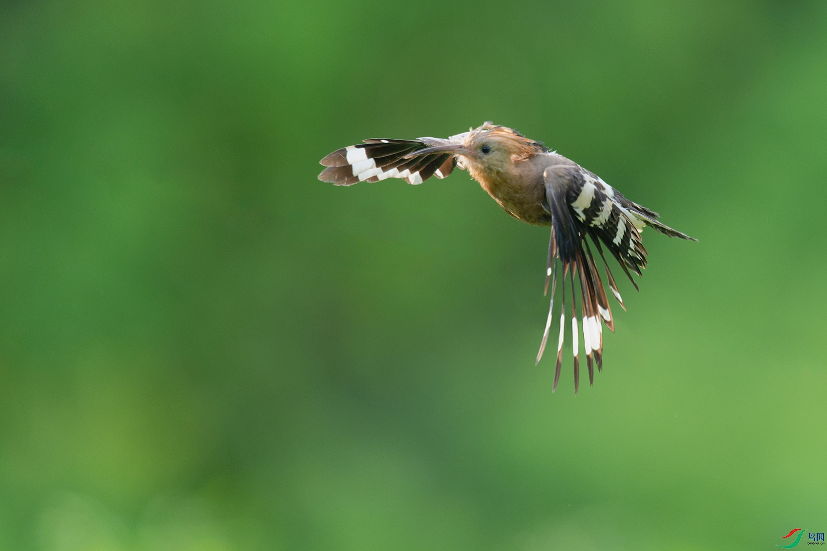 4DSC_6401_DxOa.jpg