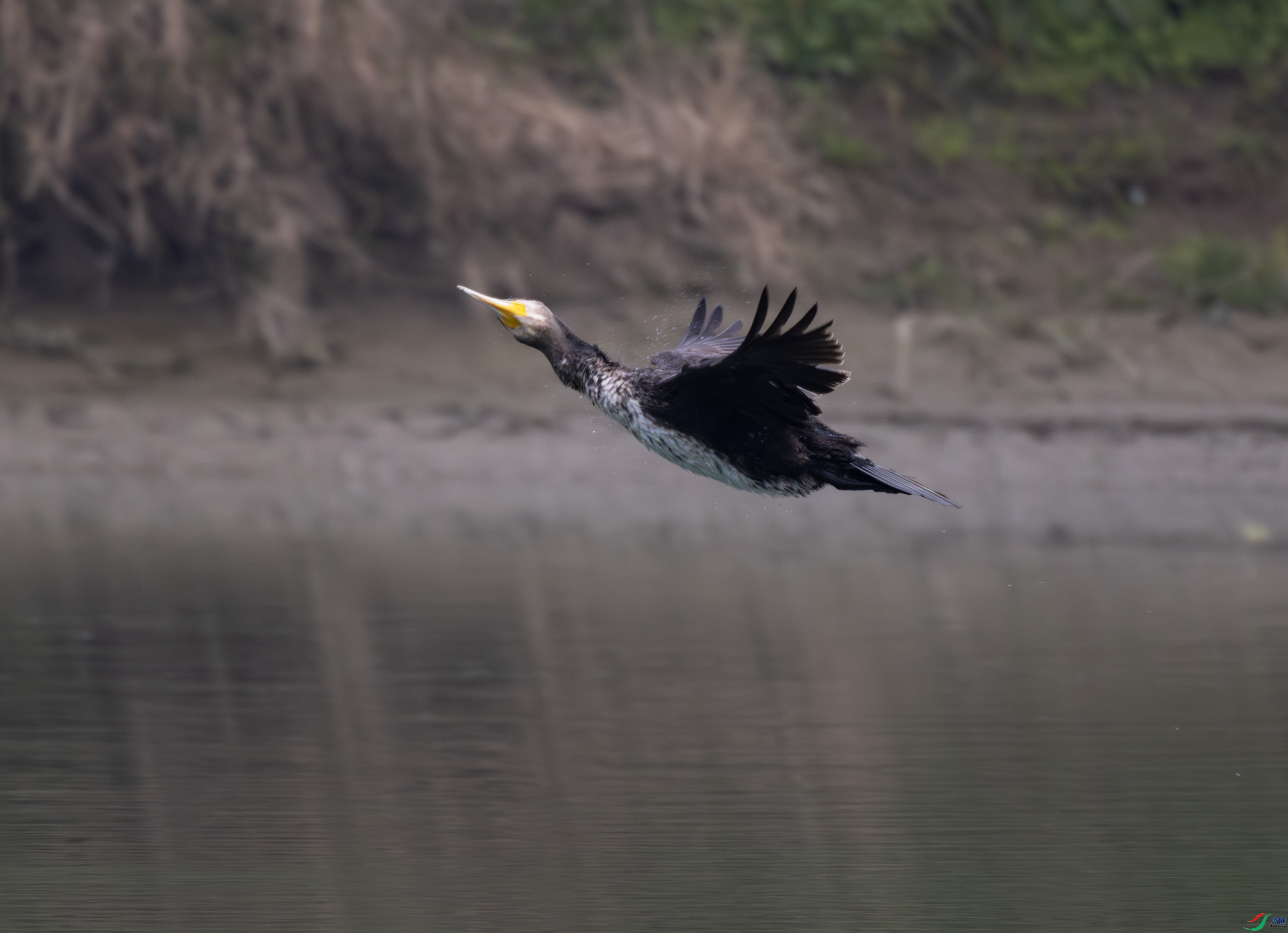 2I1A0261-����ǿ-NR ����.jpg