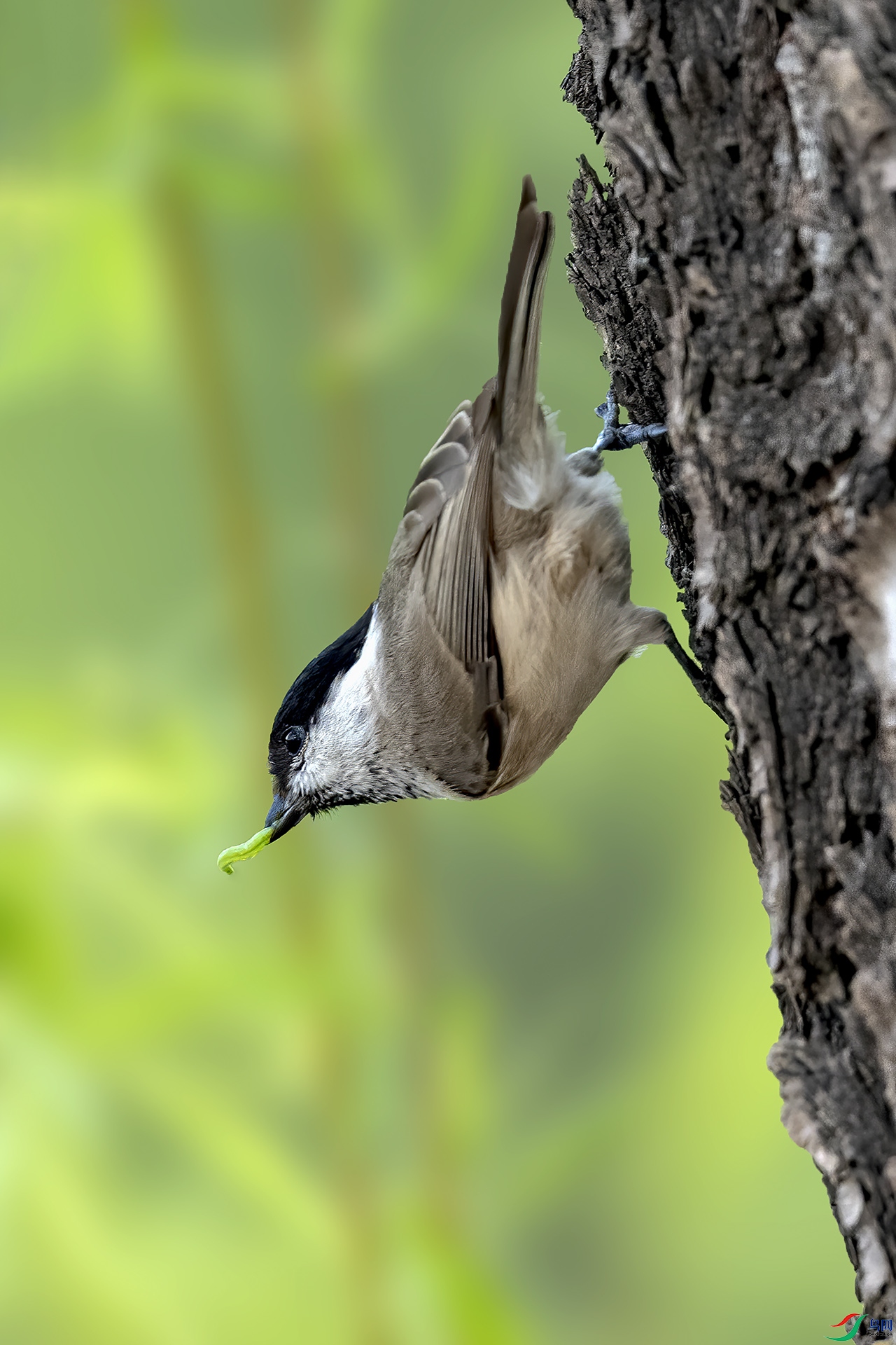 DSC_1499-.jpg