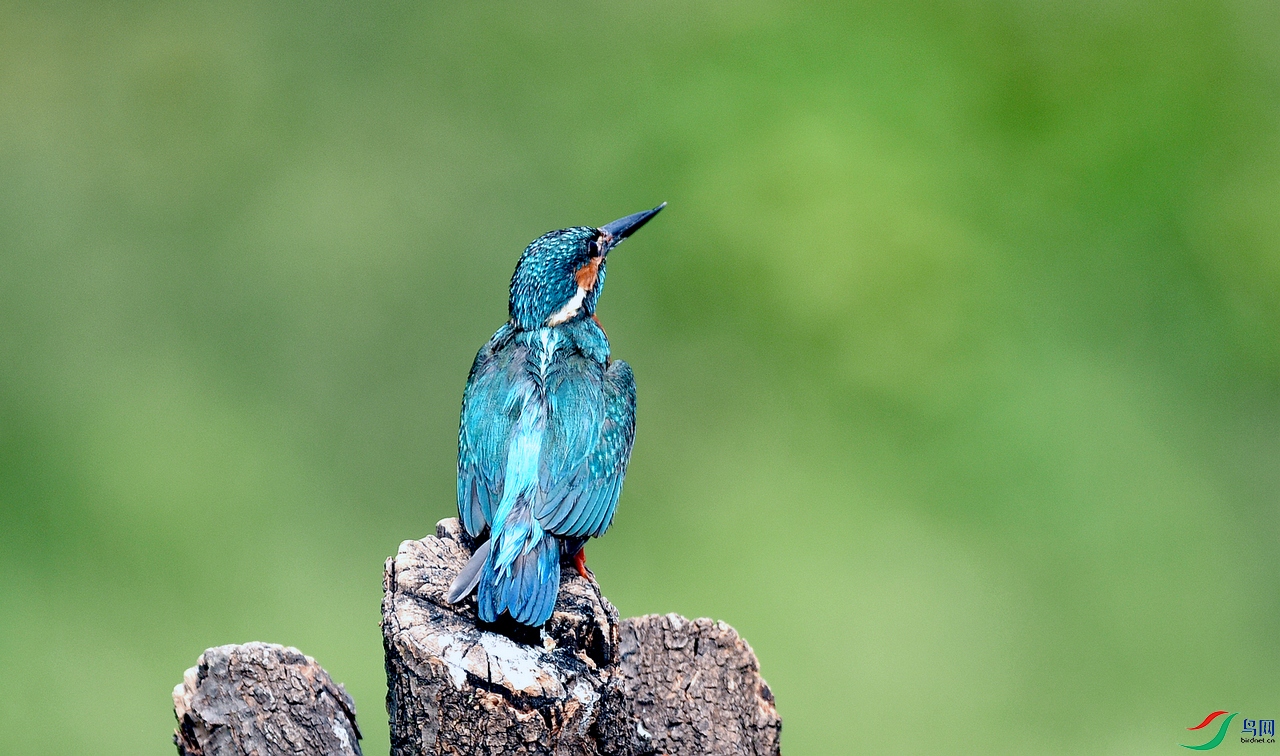 DSC_8262.jpg