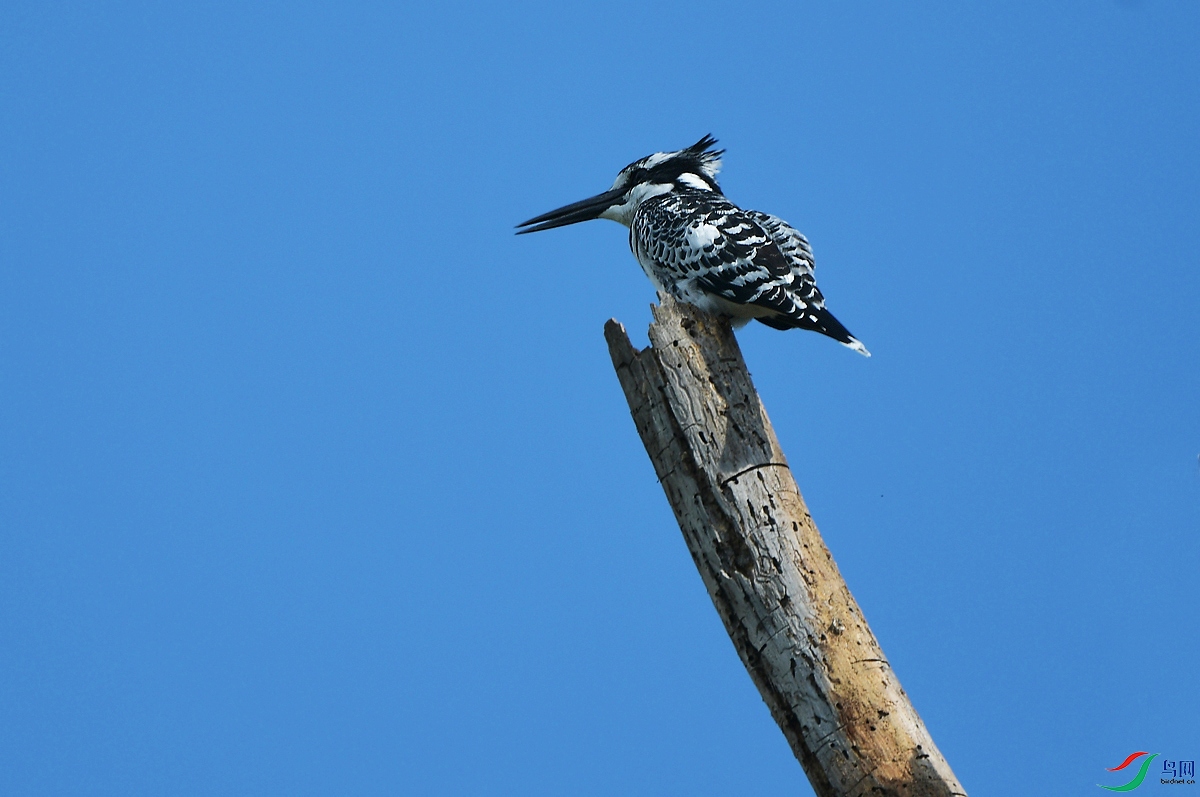 DSC_8660.JPG