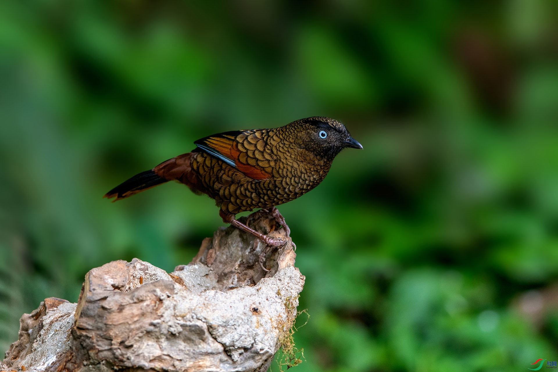 ��_AUU1477����������(24.2.15)-1.jpg