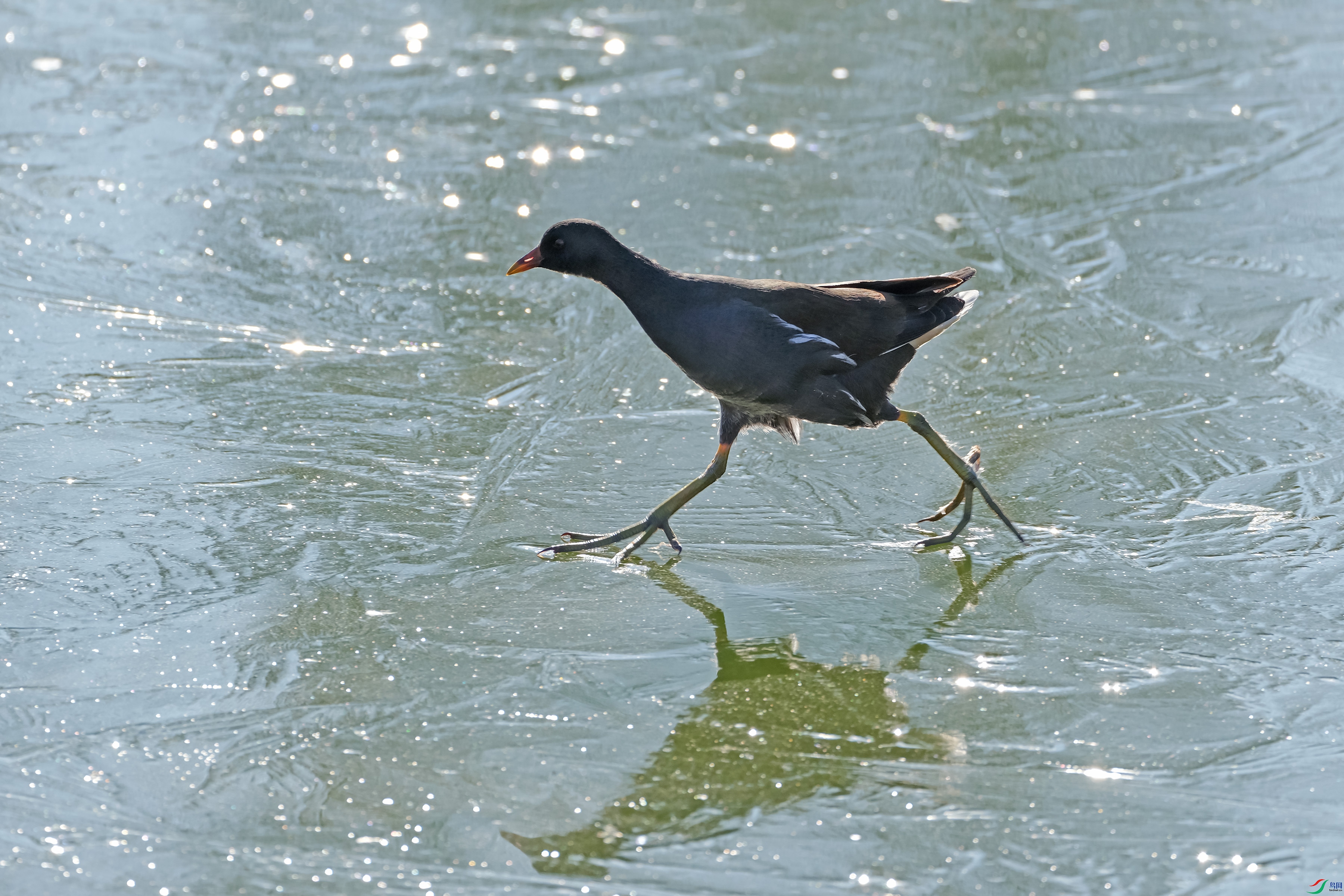 DSCF0571.JPG