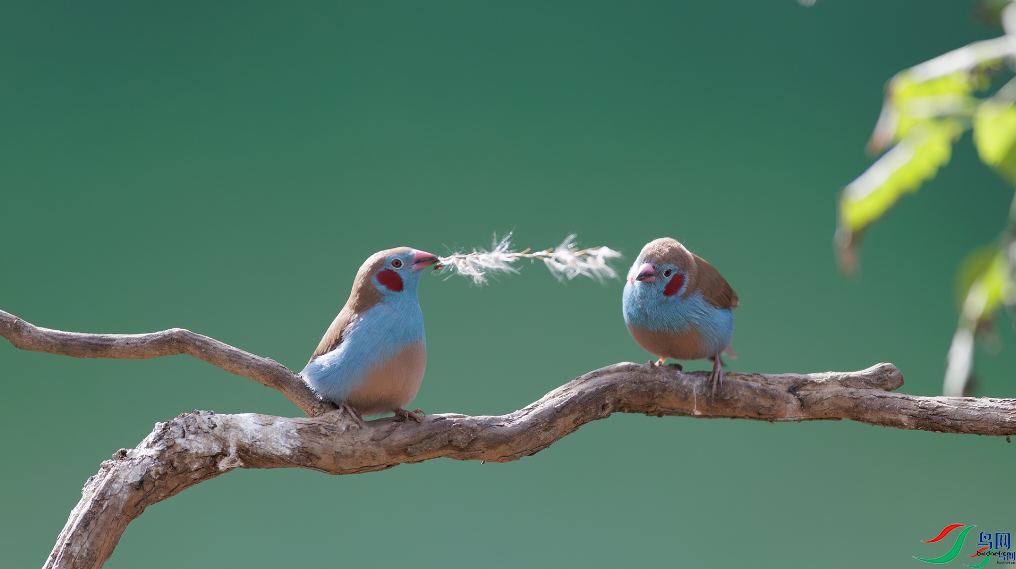 ��»��ϲ  �������ȸ���ٻ���Ӱʦ������14.png