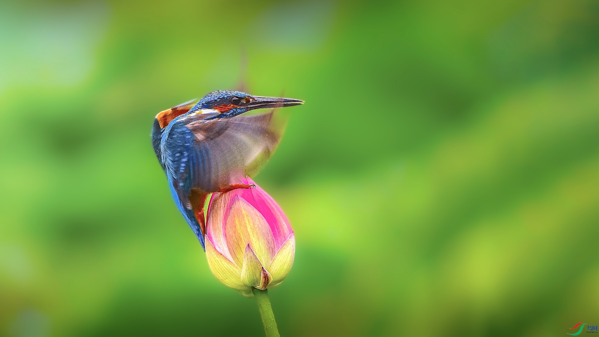 1_XXI3370 ����.jpeg