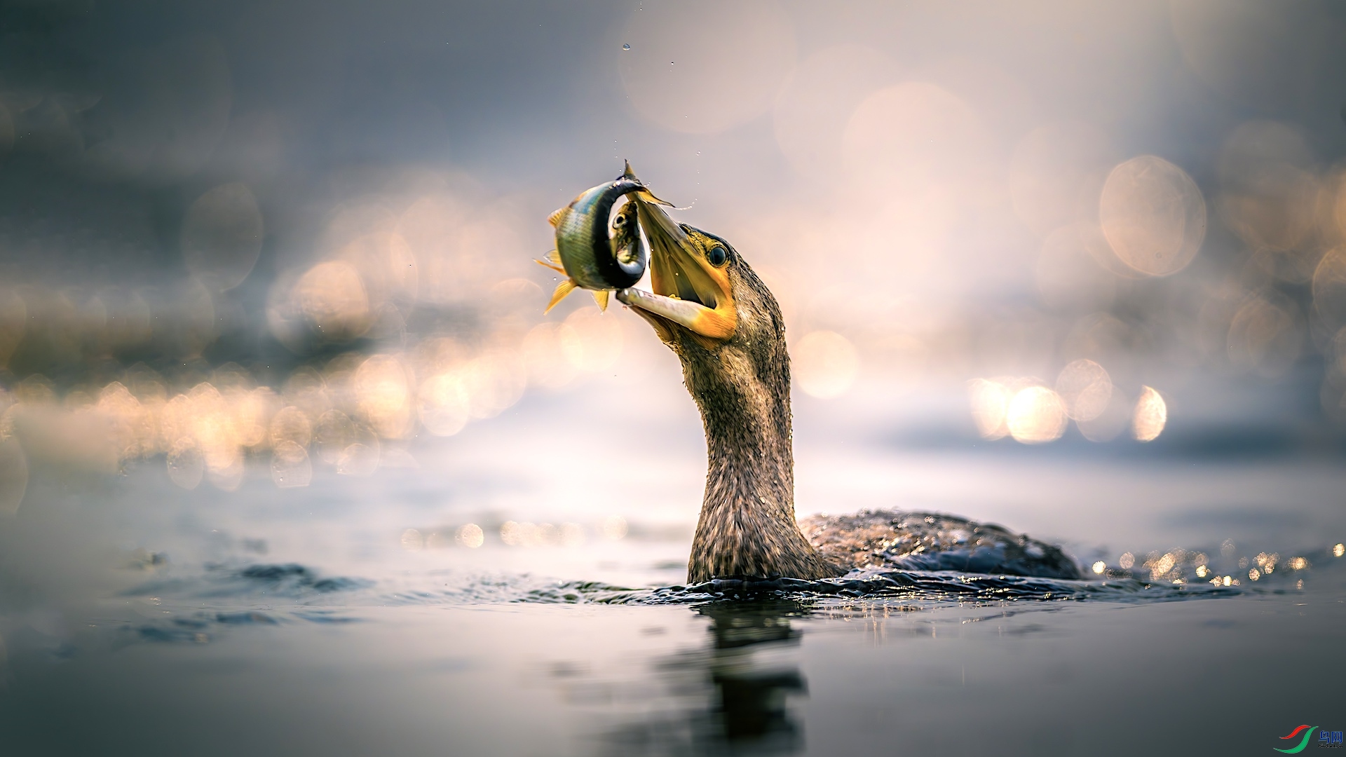 1_XXL3651-����ǿ-NR ����.jpeg