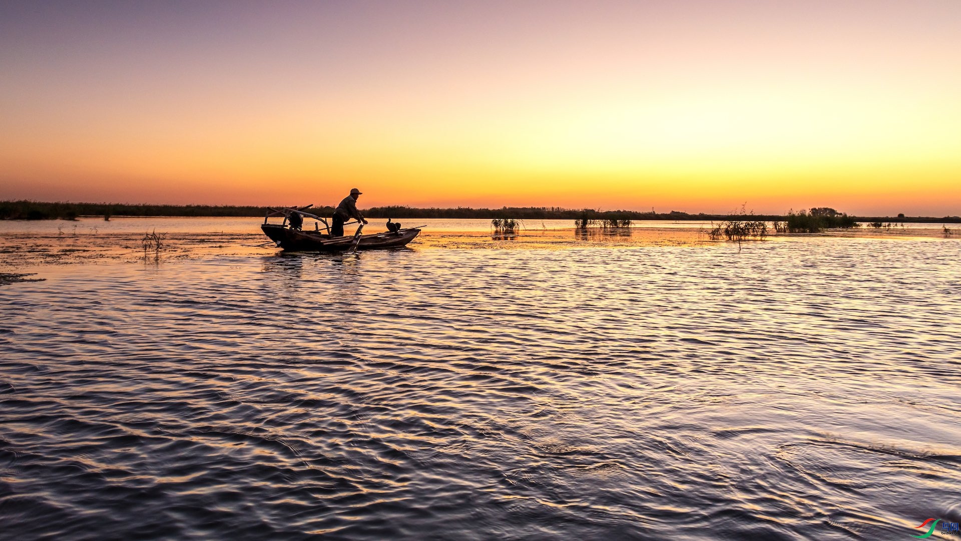 1_XXL8392 ����.jpeg