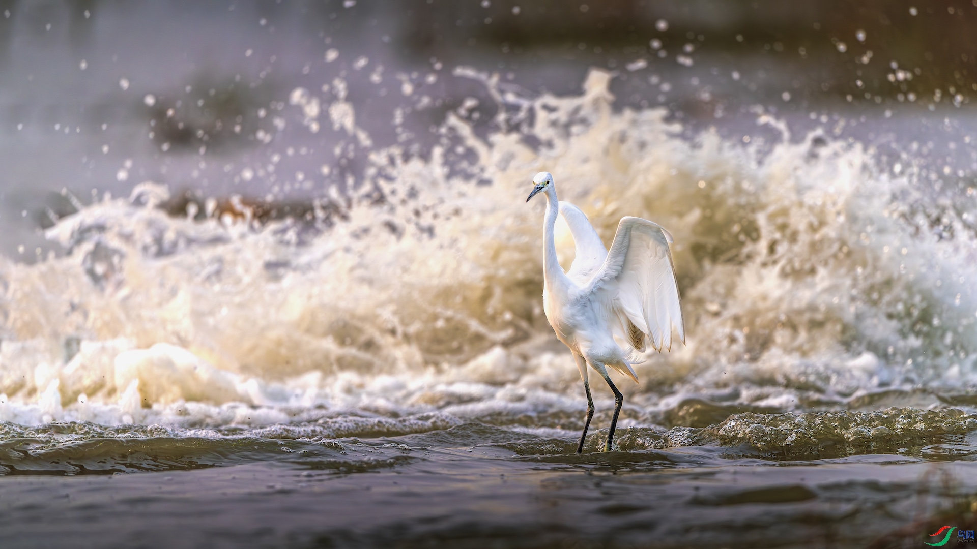 1-2XXL_6148-����ǿ-NR ���� 2.jpeg