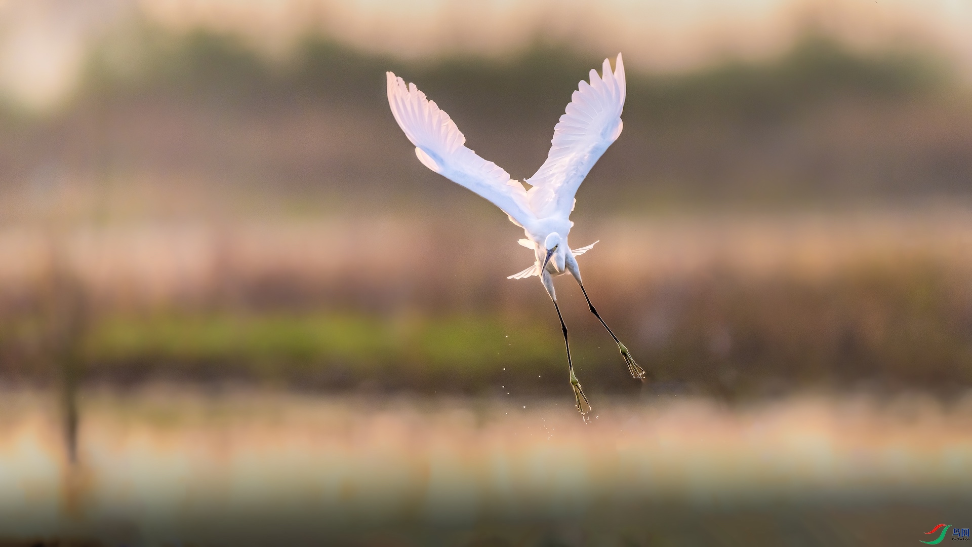 1XXL_3303-1 ����.jpeg