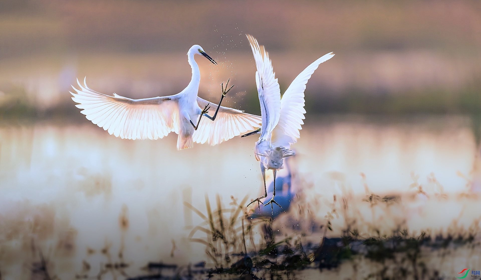 1XXL_3456-1 ���� 2.jpeg