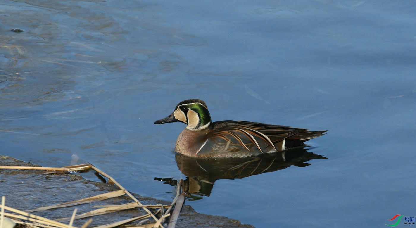 DSC20250115194.jpg