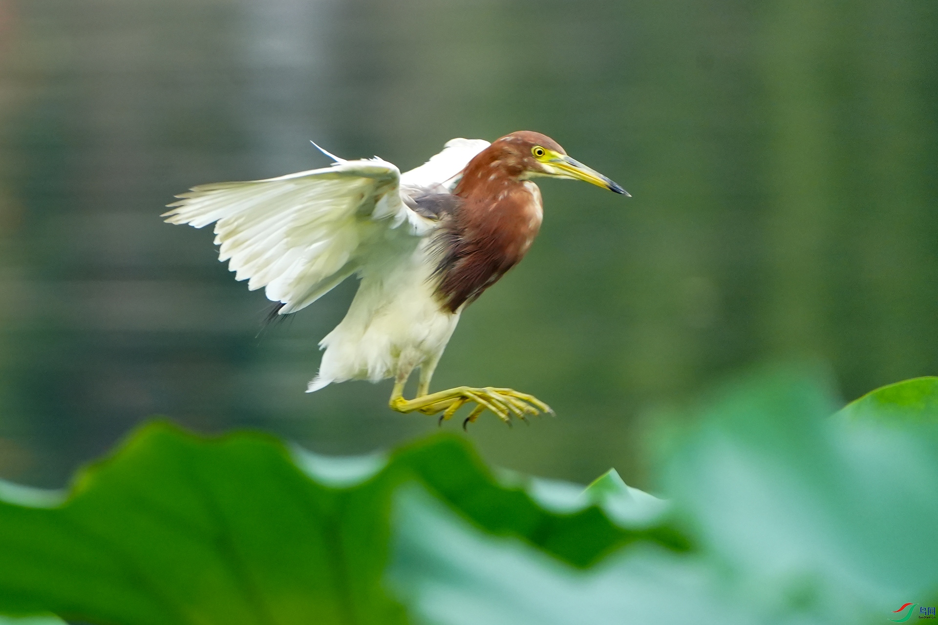 DSC02271 ����.jpg