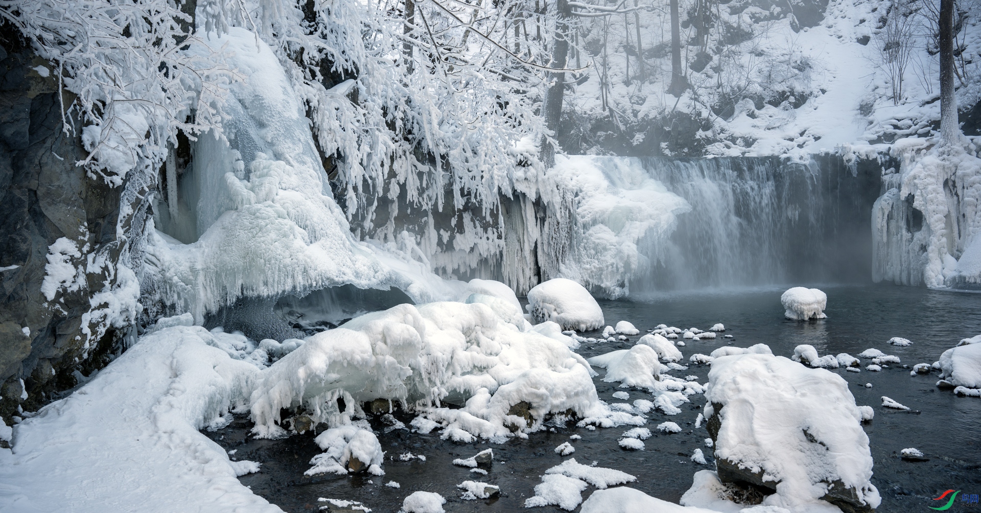 _DSC4930-1w.jpg