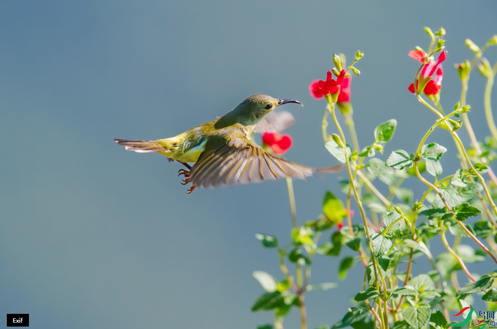 ��ɽ���� ��ӵ���Ҹ������ٻ����Ѿ�����15.png