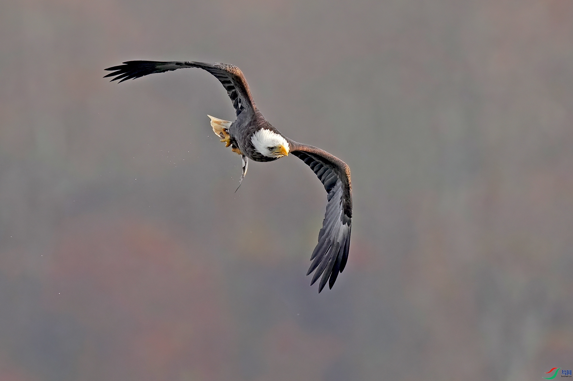 DSC05437--.jpg