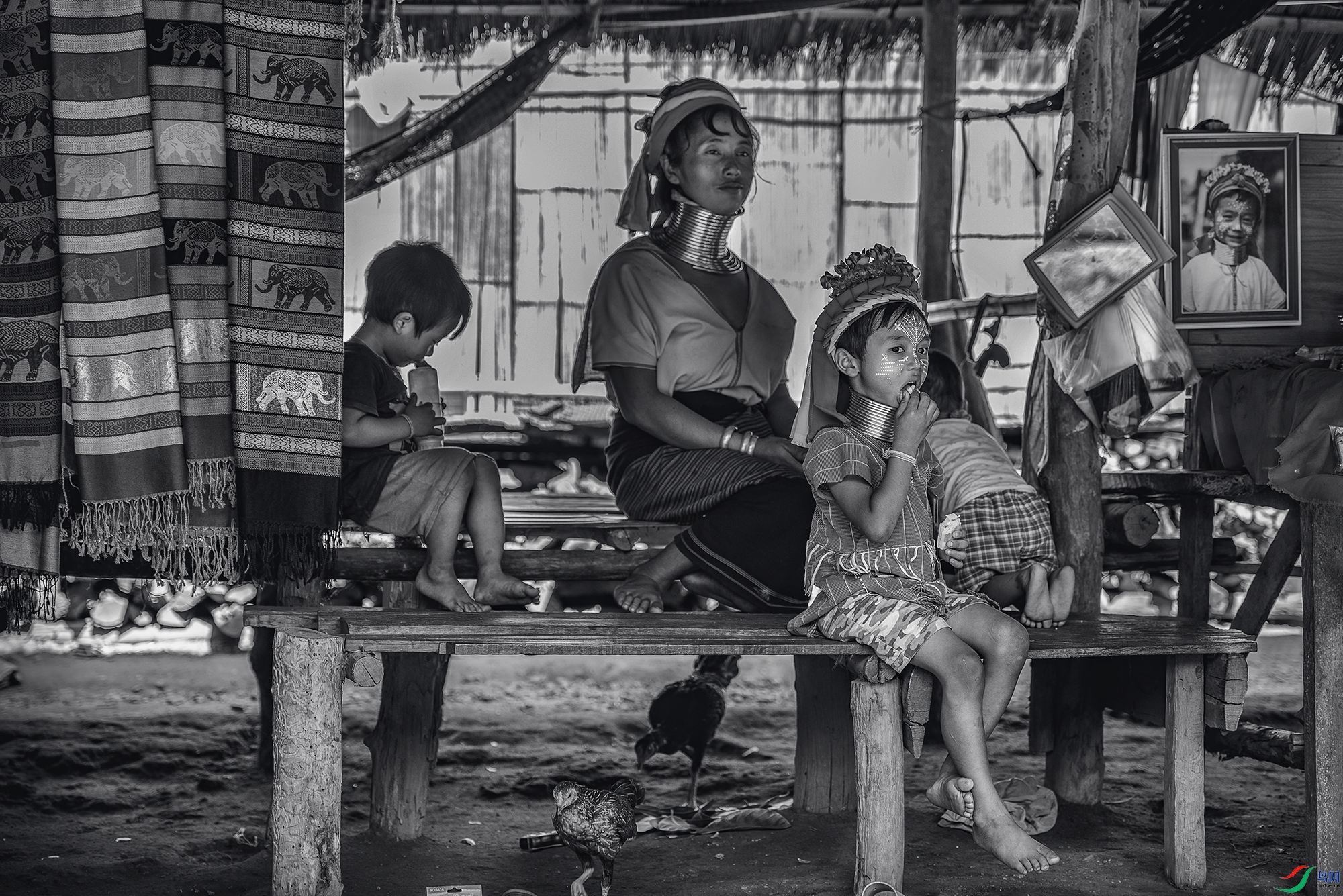 DSC_4914-1a ����11.jpg