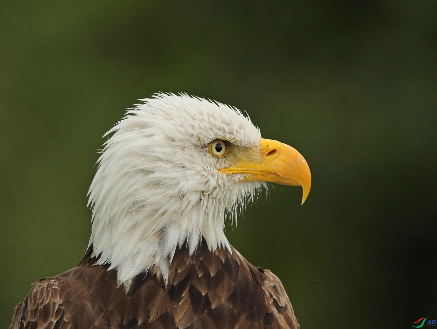 w180923���� (25).jpg