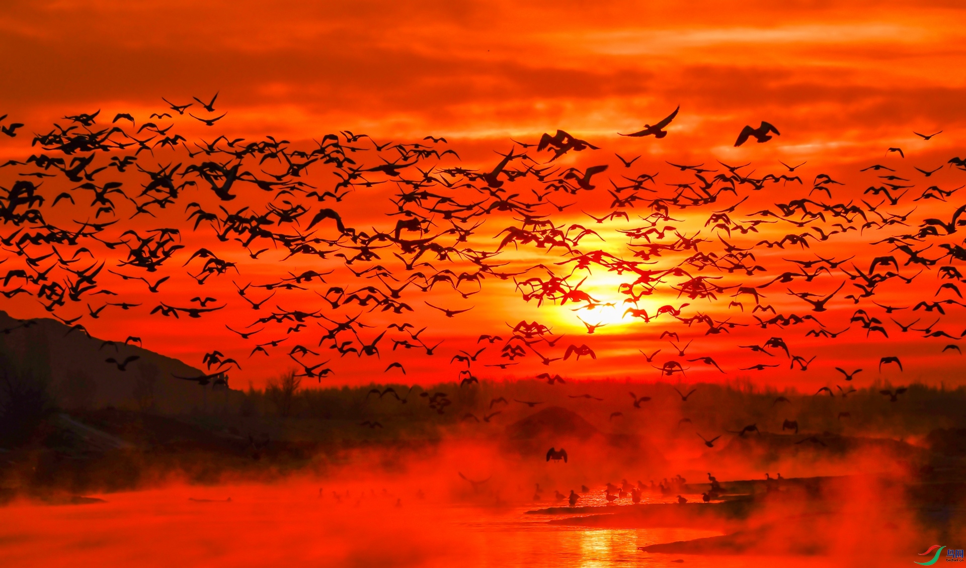 ���Ʊ���