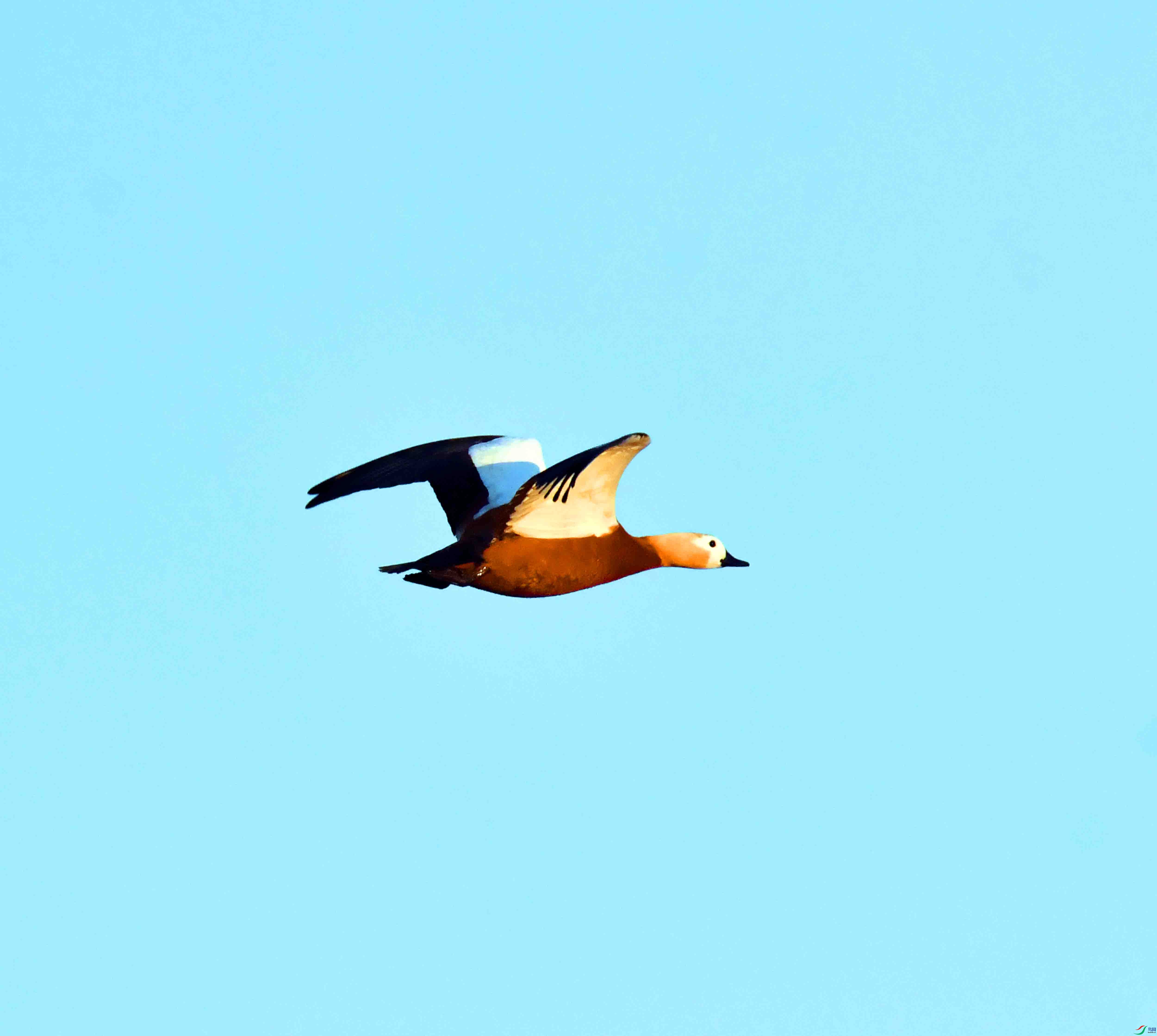 DSC_2392.JPG