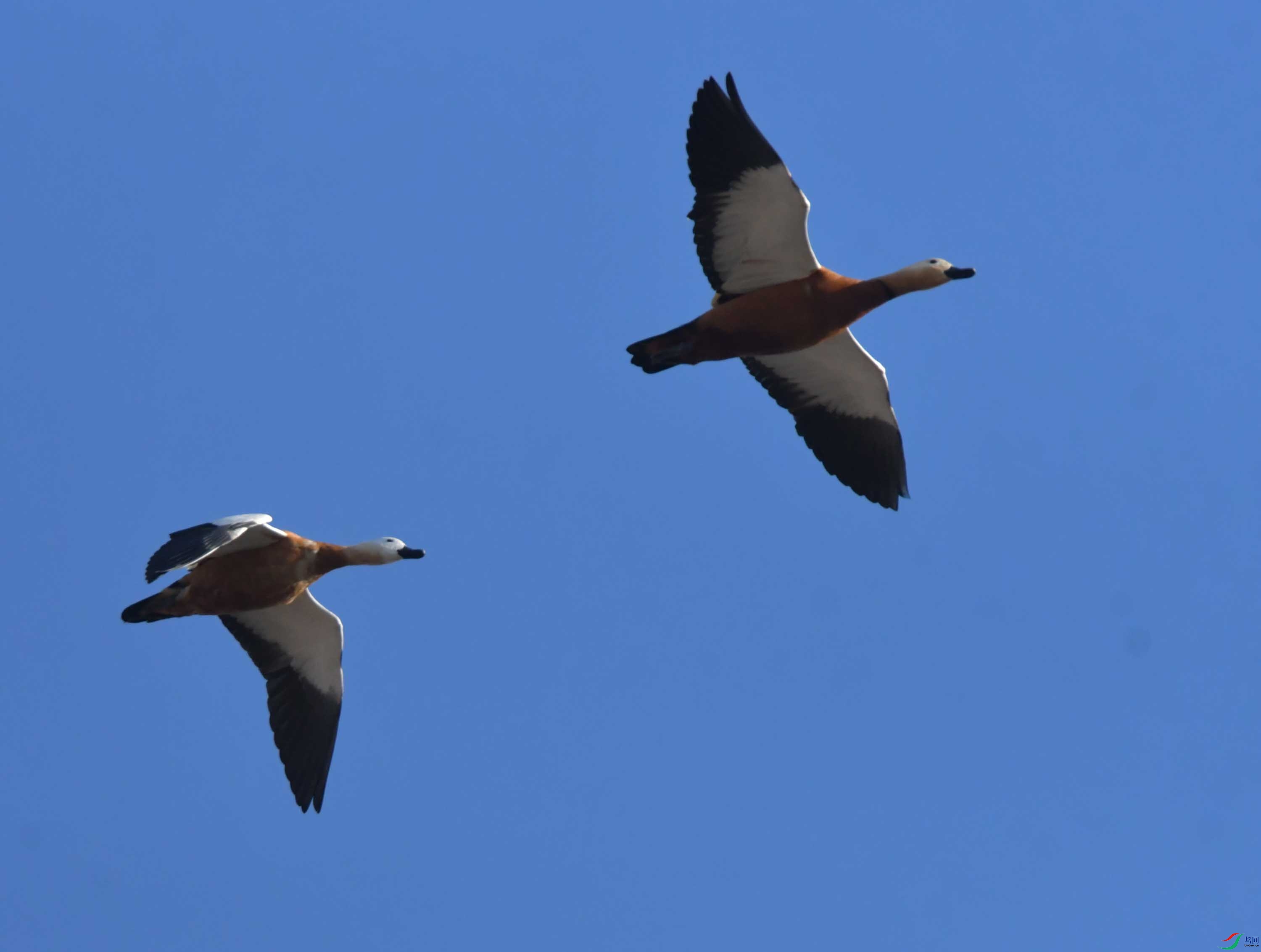 DSC_9139.JPG