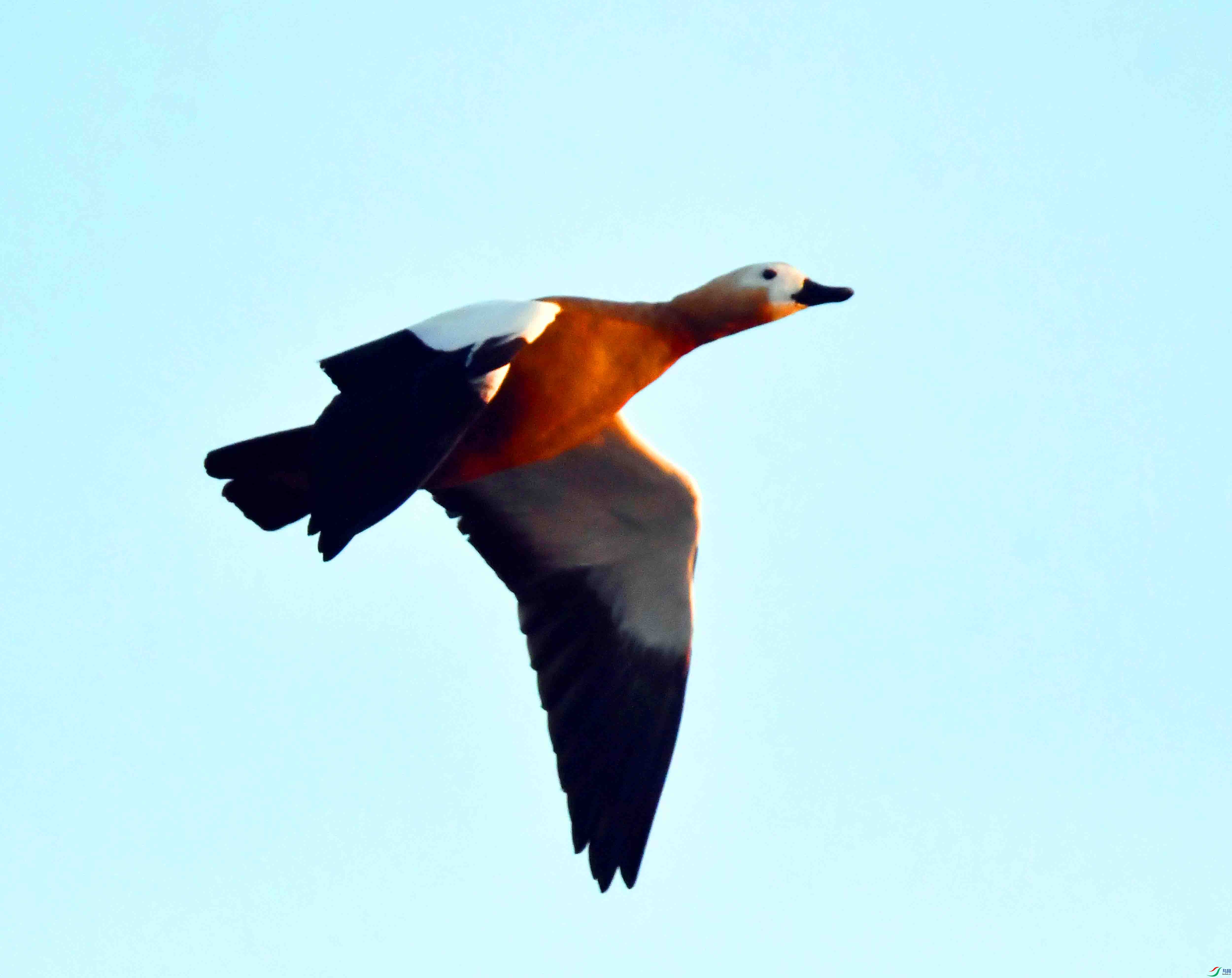 DSC_9257.JPG