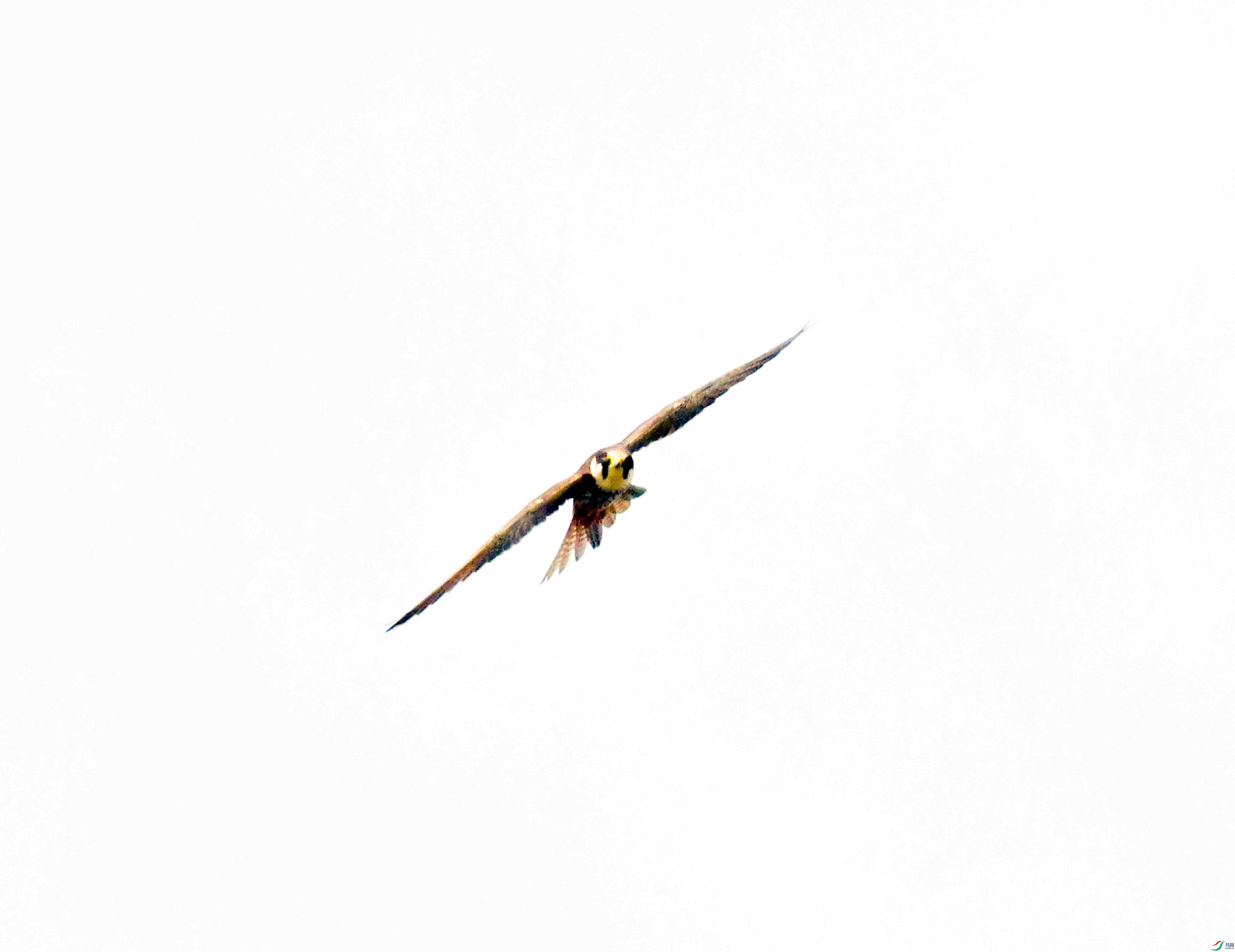DSC_9975.JPG