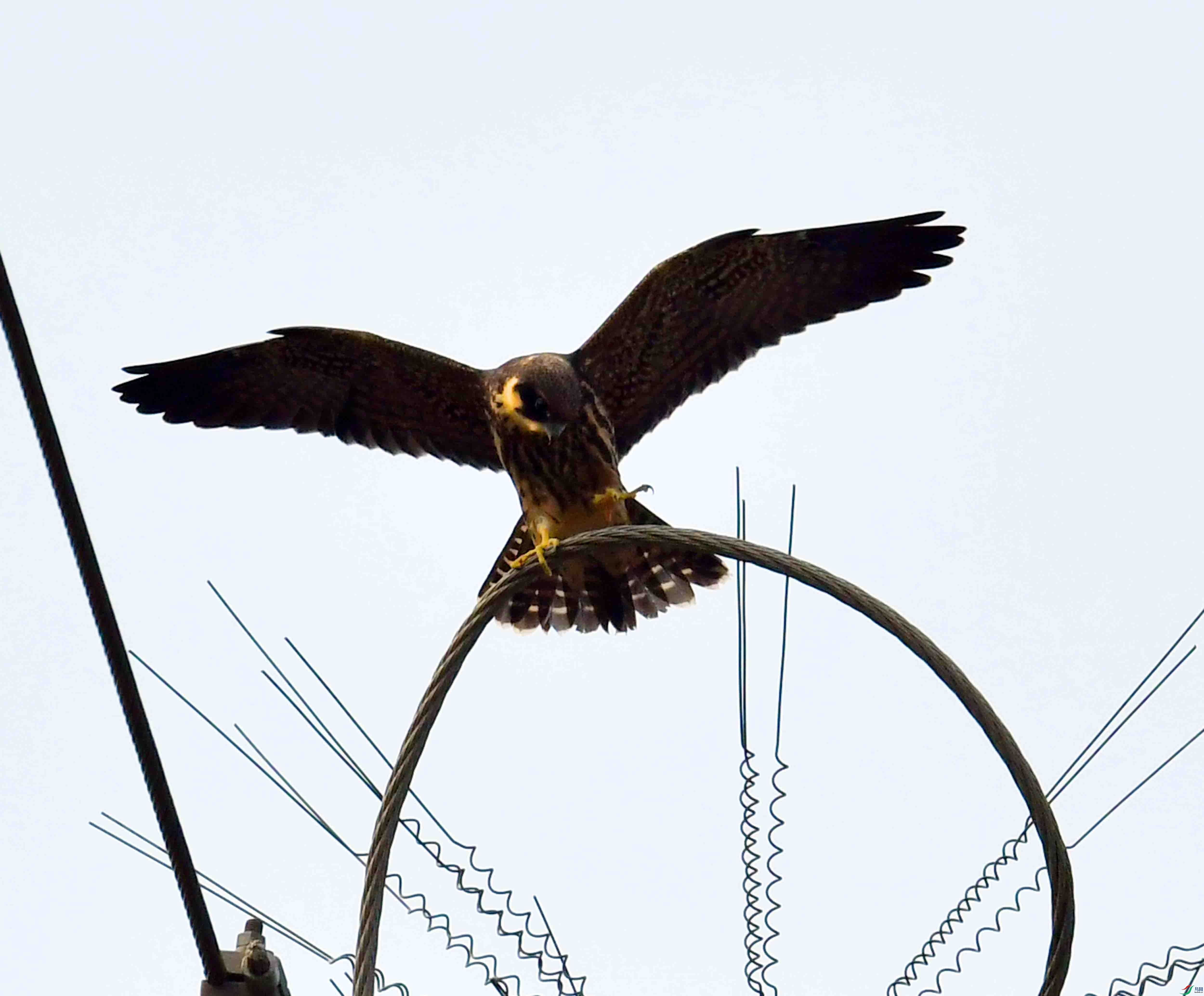 DSC_9992.JPG