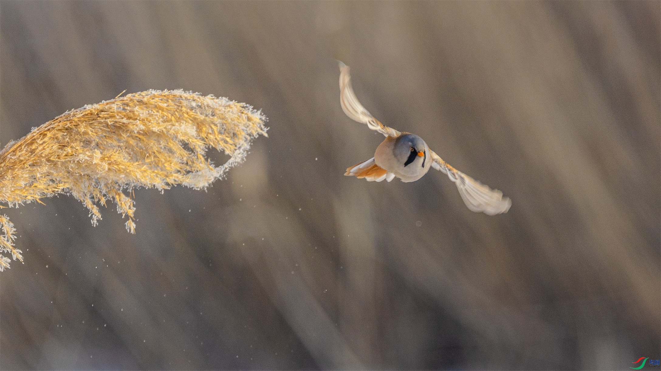 1K3A7643 ����1.jpg