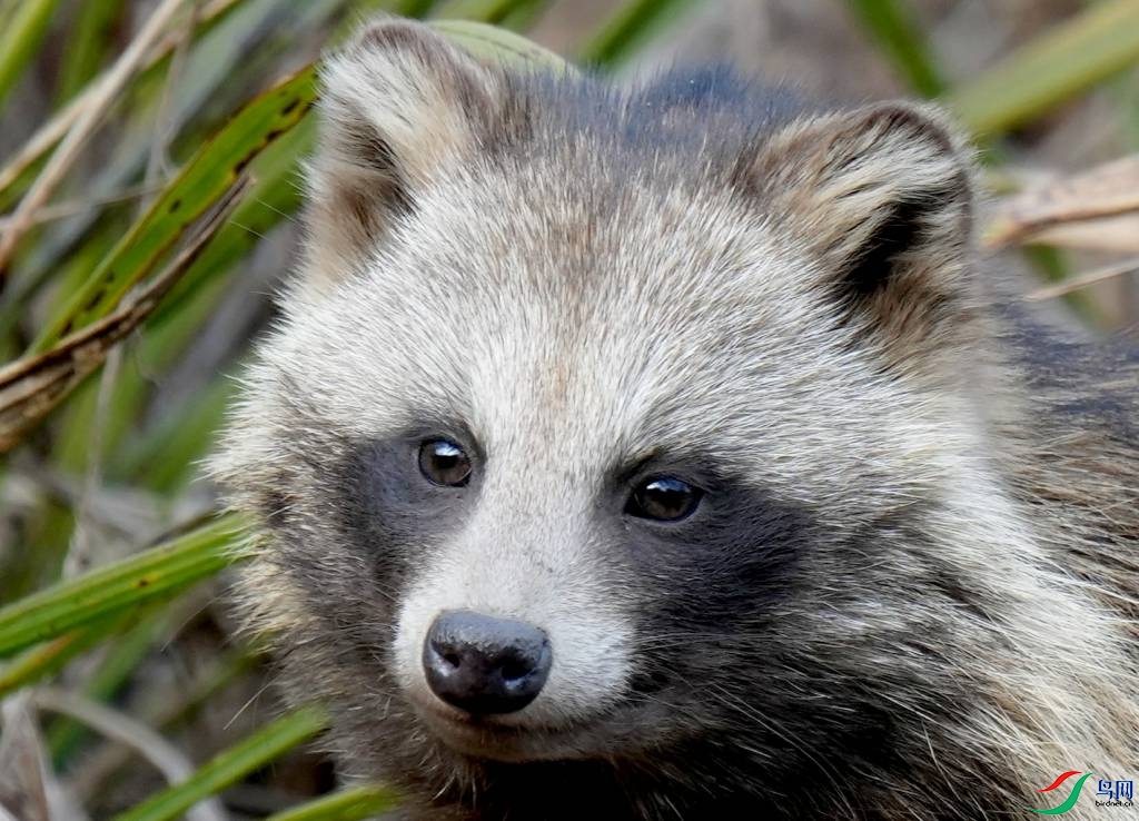 һ��֮�ѵĺ�