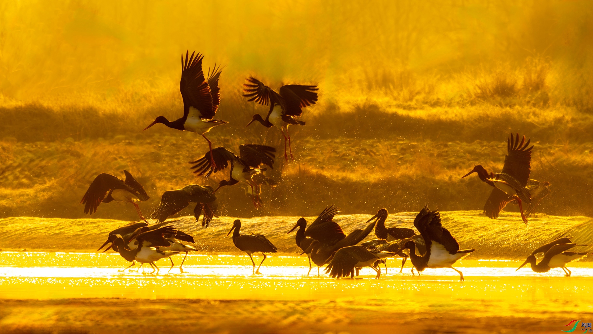 1.14��ˮԴͷ��ʦ��Ʒ   ���x���� ��ף���ٻ����������.jpg