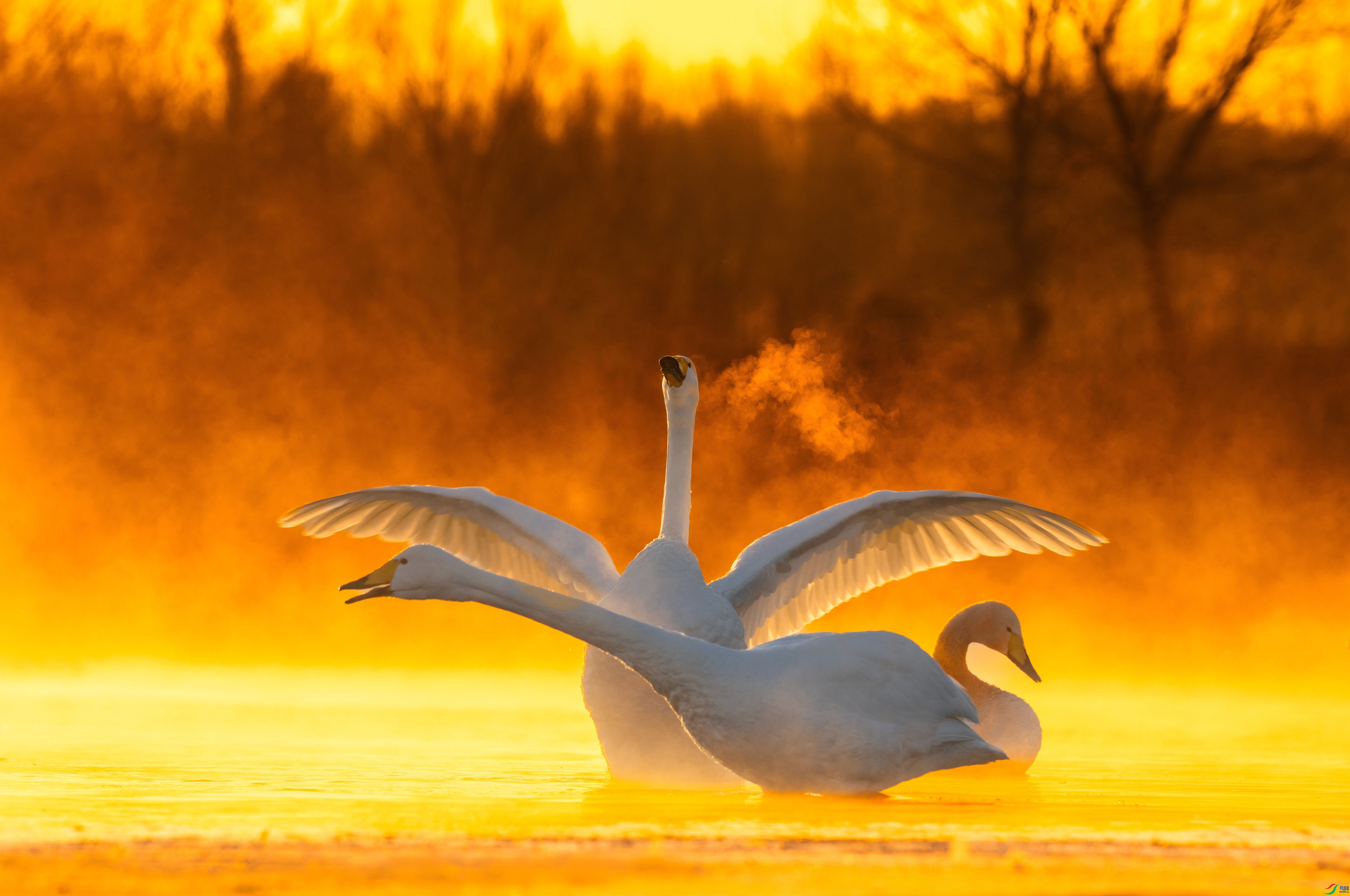 1.15����������ʦ��Ʒ   �������� ��ף���ٻ����������.jpg