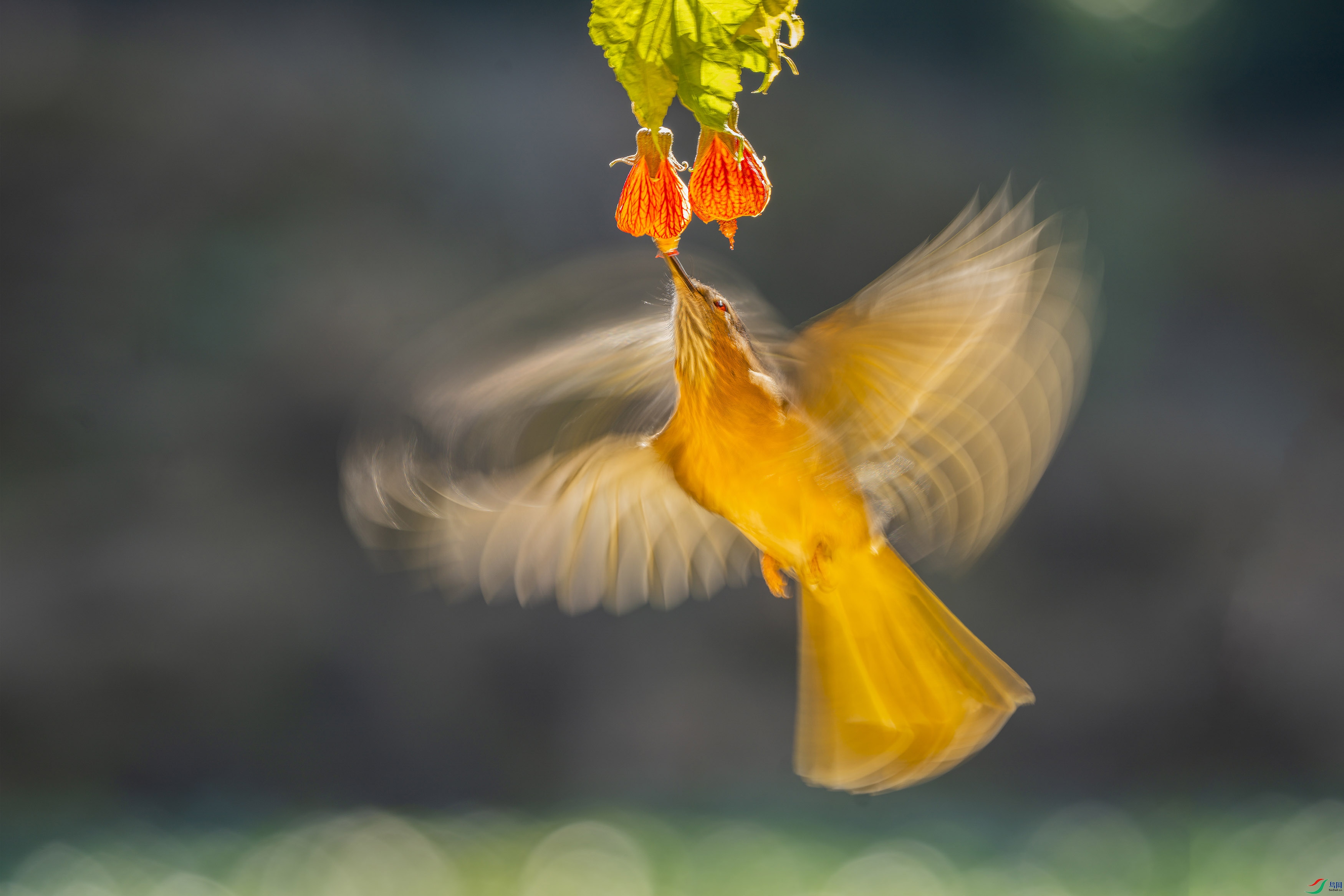 CYP00421 ��������.jpg