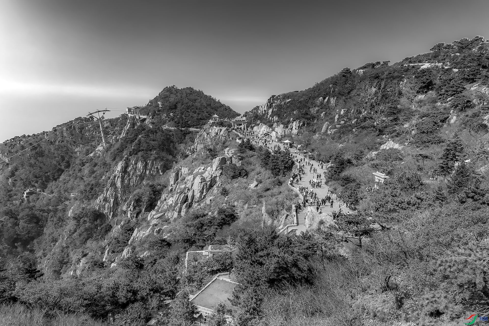 _MG_8594a.jpg