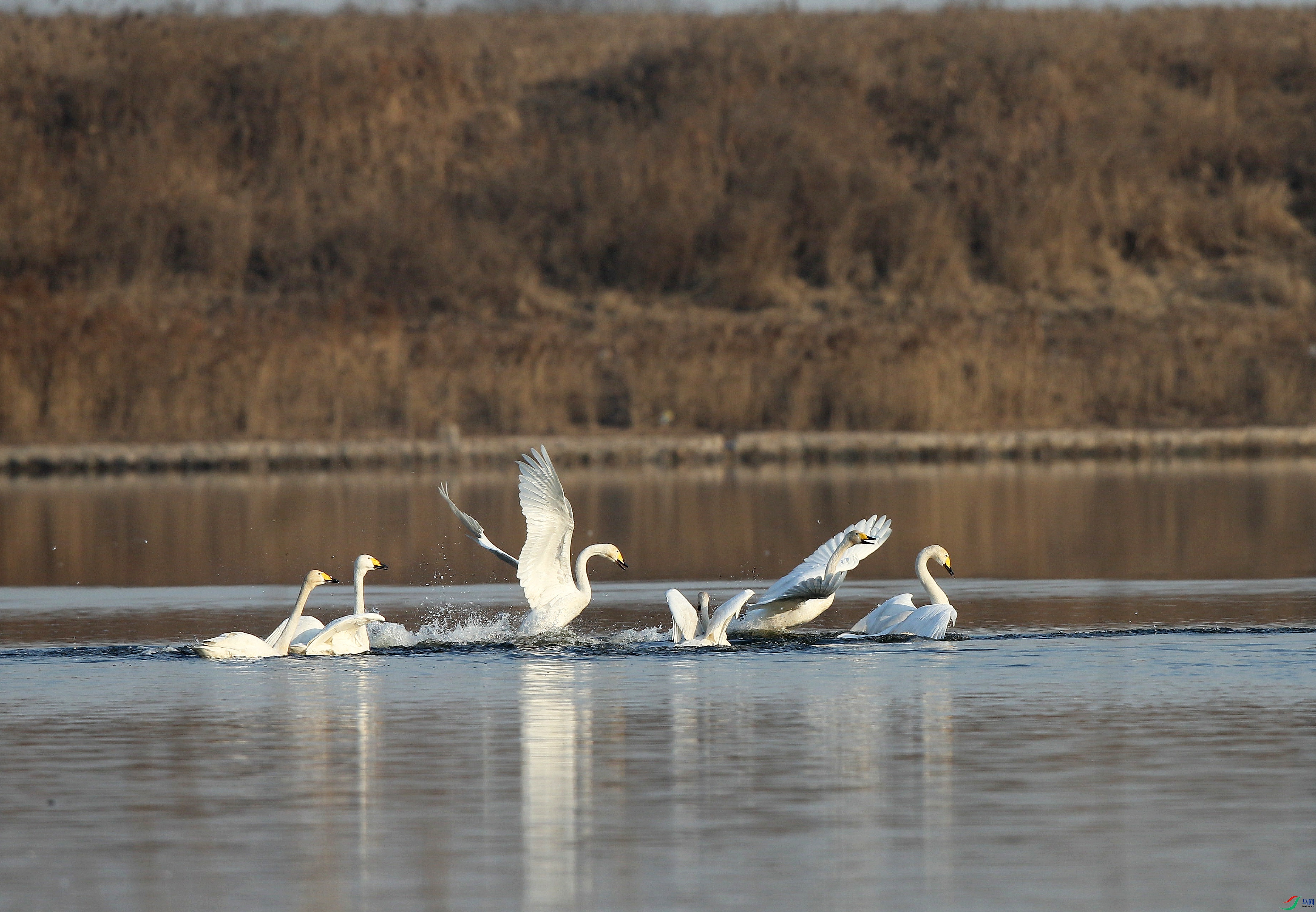 H46R5653_����.jpg