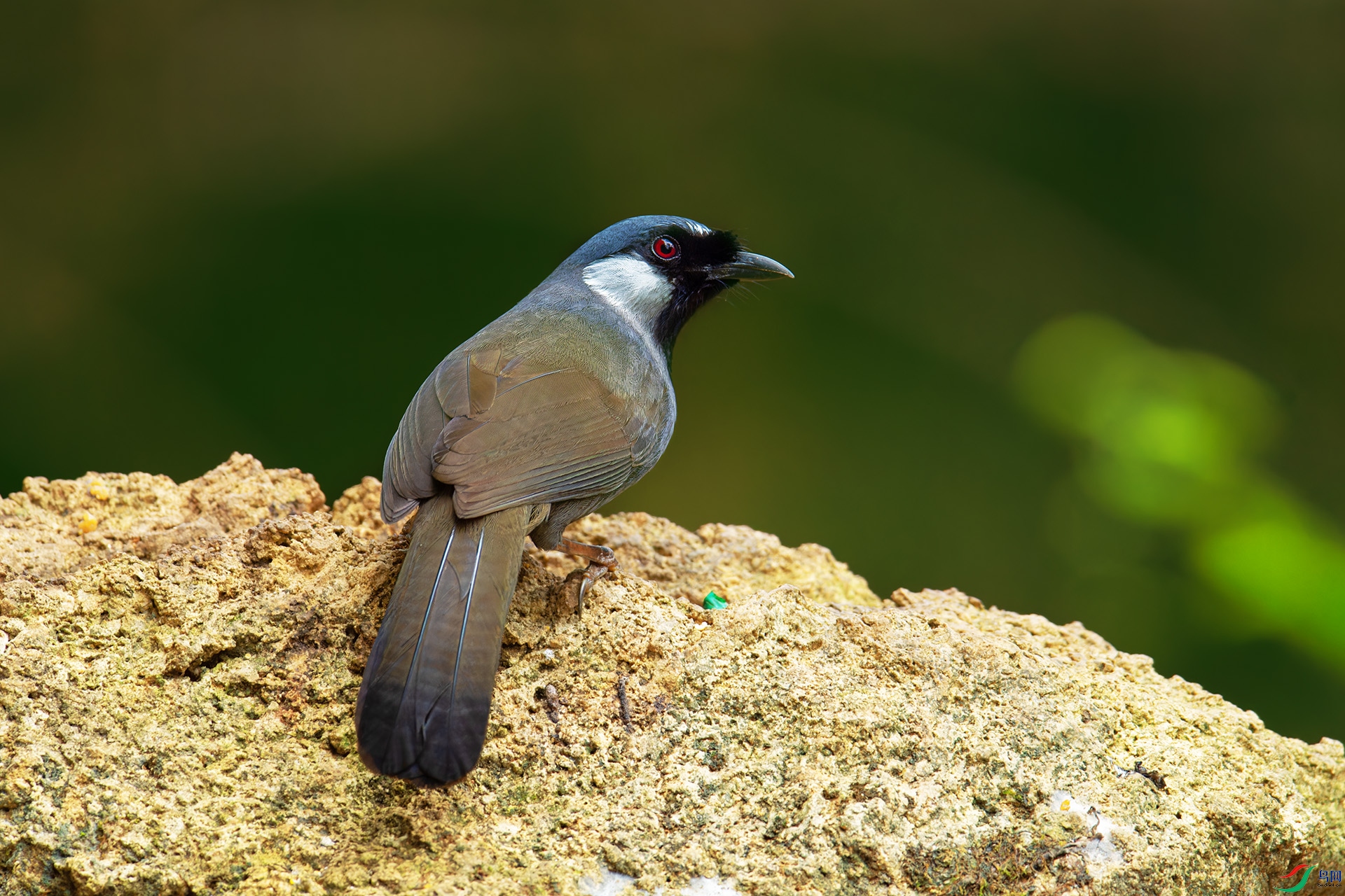 DSC_2324-1.jpg