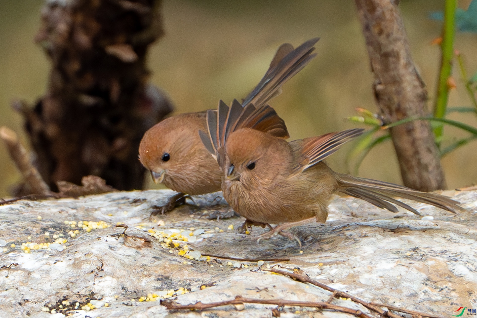 DSC04811-����ǿ-NR ����.jpg