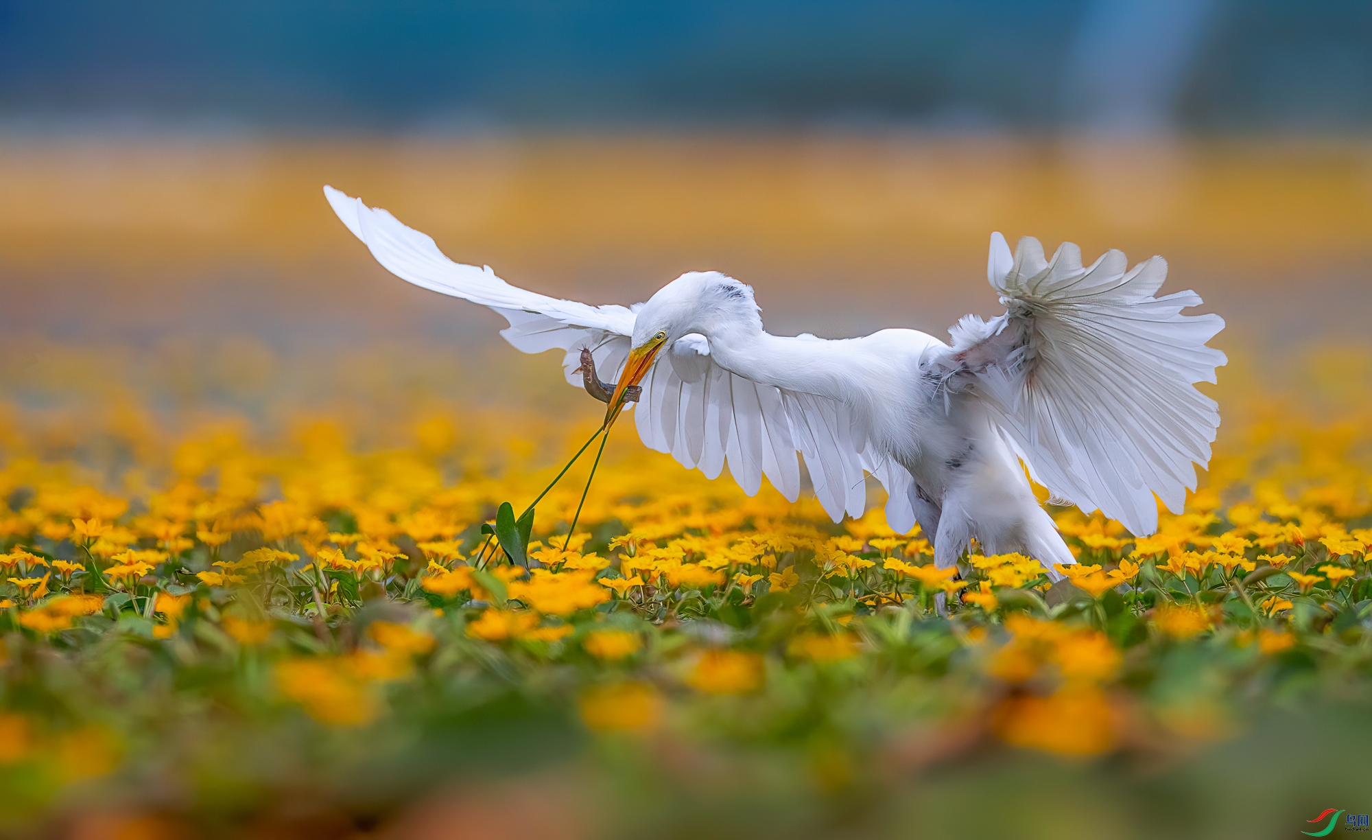 6R9A7558-2.jpg