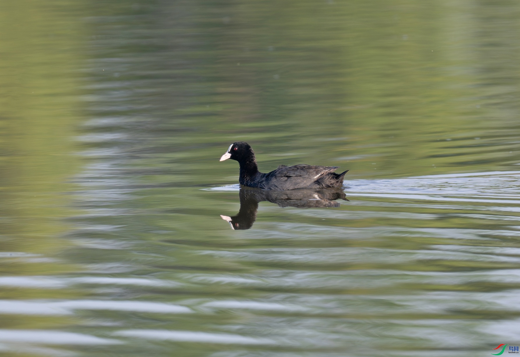 _DSC4572f.jpg