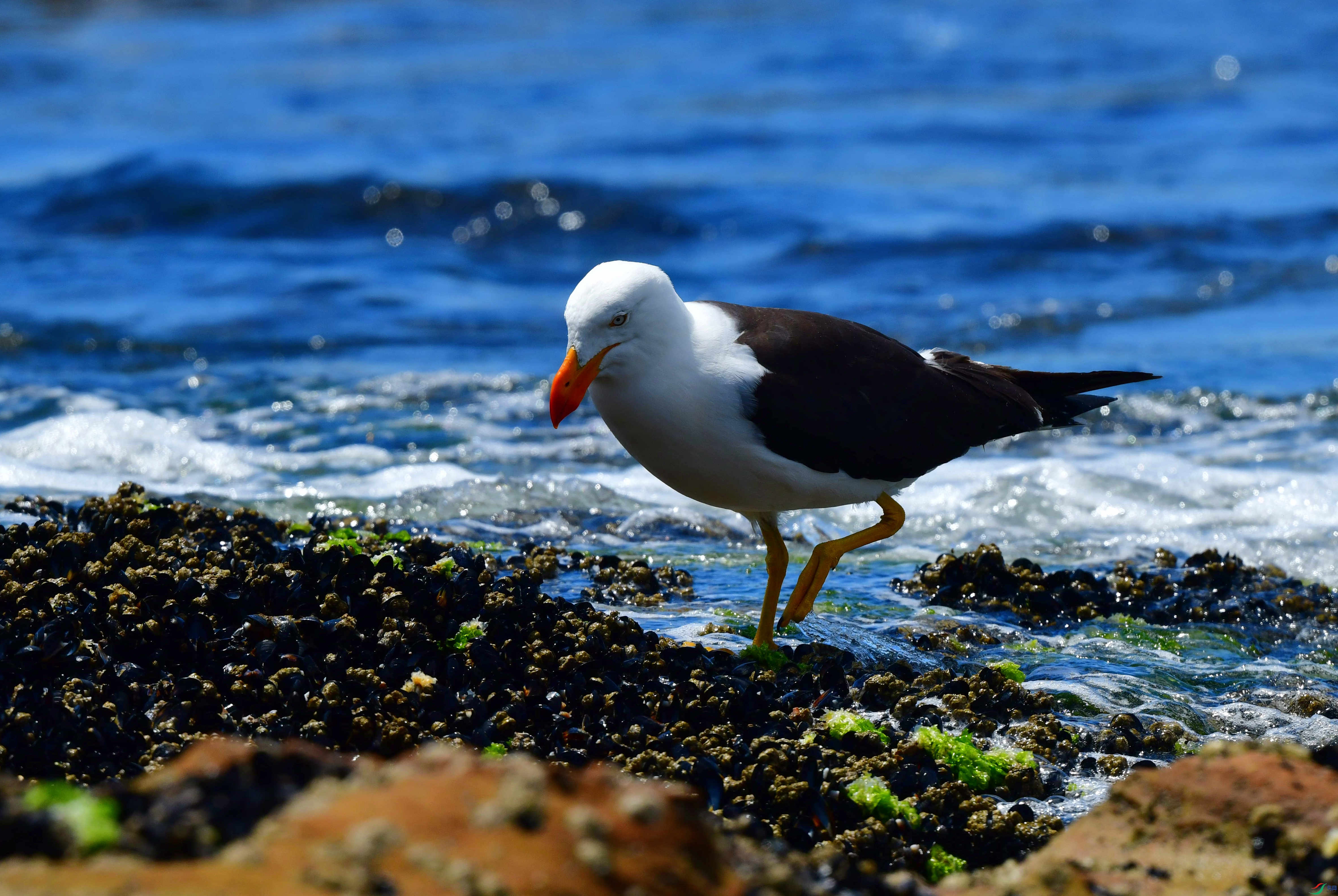 DSC_1053_��ͼ��_����.jpg