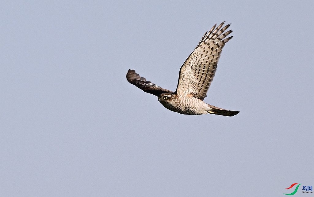 DSC_3504.JPG
