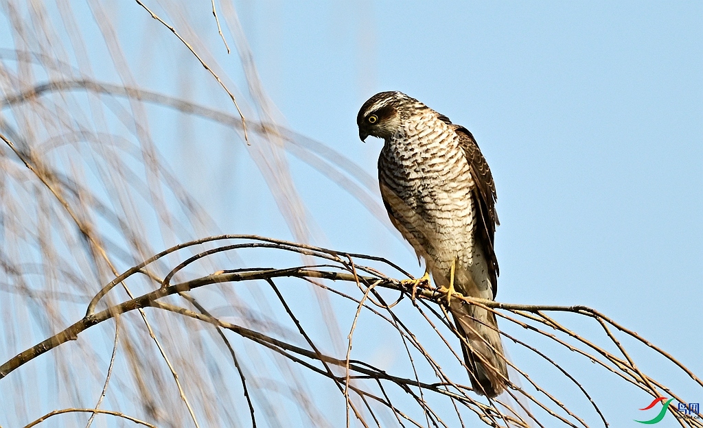 DSC_3600.JPG