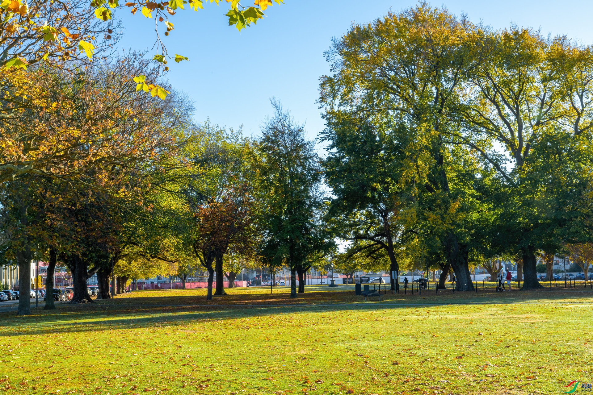 DSC_7327-1.jpg