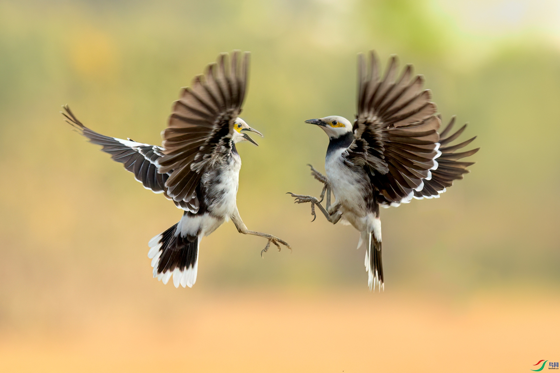 B86I8140 _����.jpg