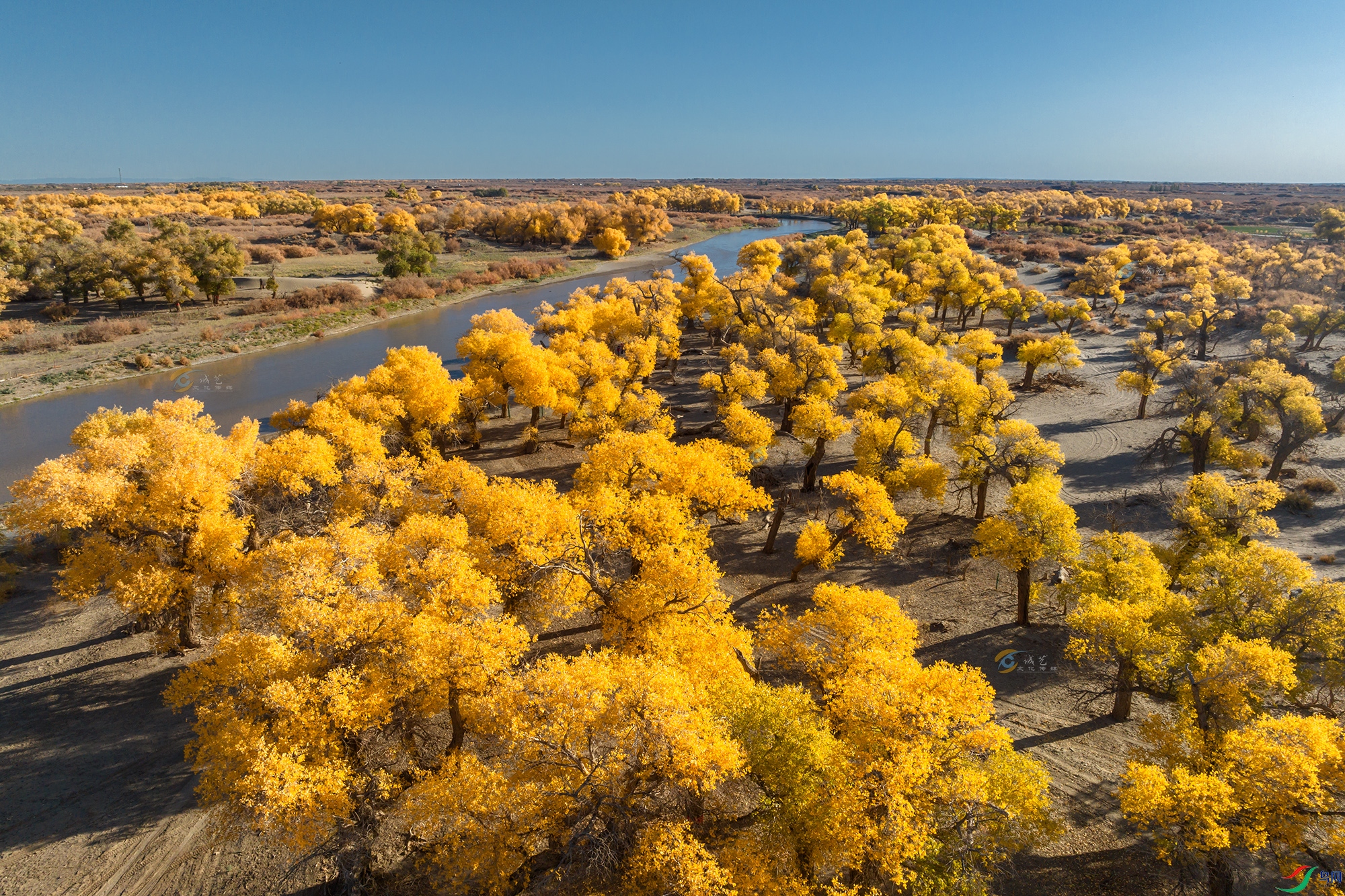 DJI_0220a11.jpg