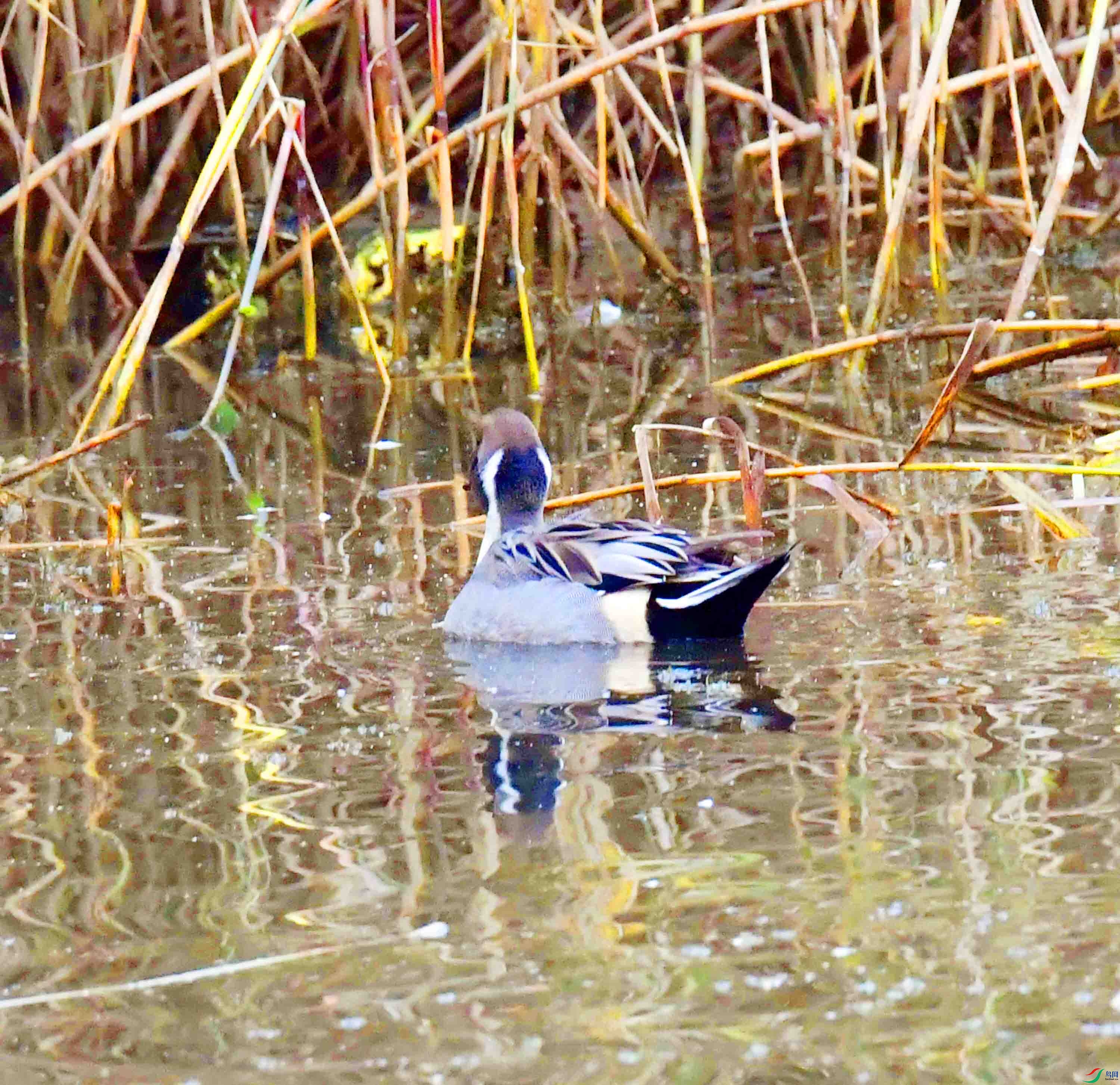 DSC_3070.JPG