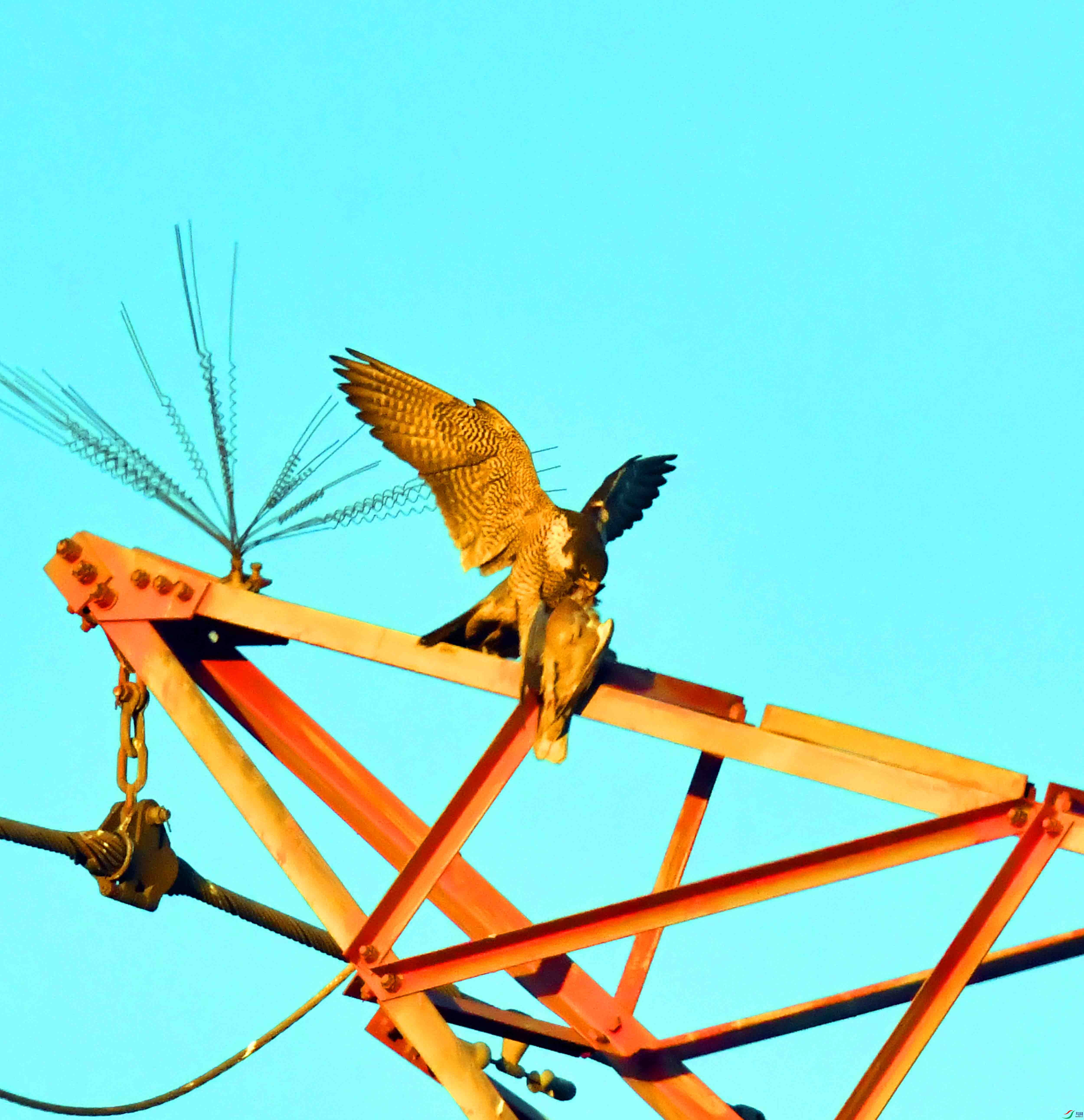 DSC_1051.JPG