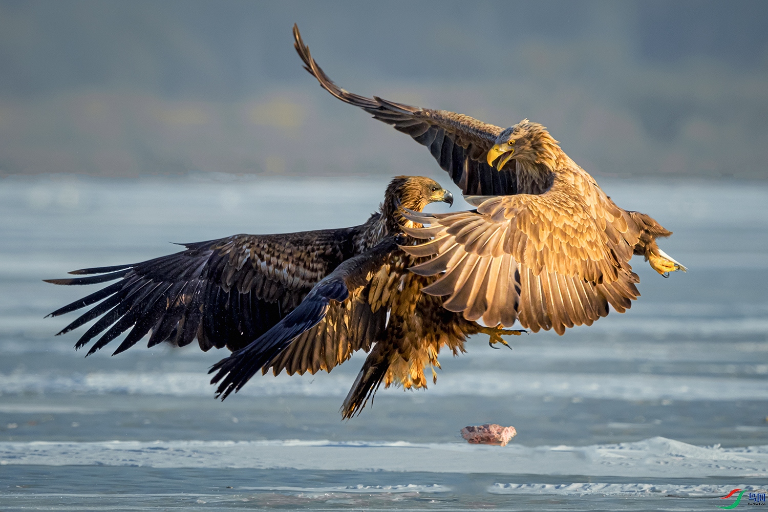 ��β����----צ���Ӻ�̫��