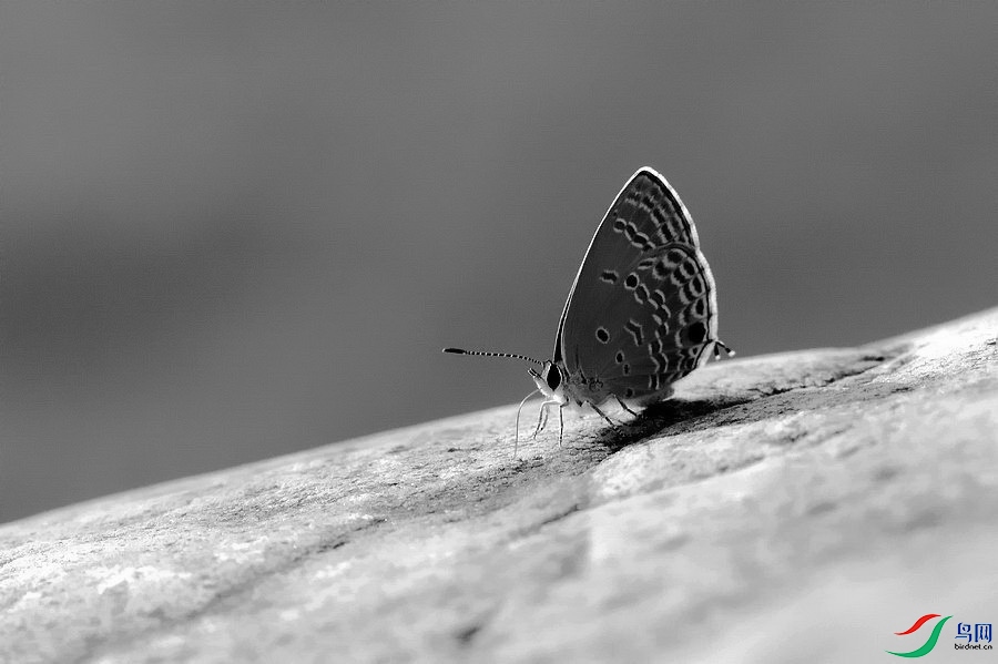 DSC_1404.jpg