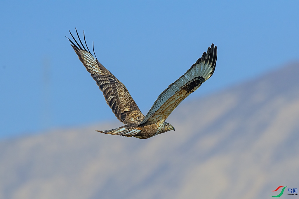 DSC_3361 - ����.jpg